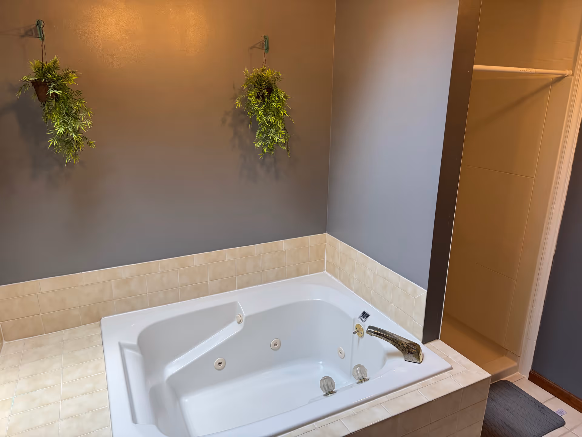 Indoor bathroom with a built-in whirlpool tub, tiled surround, and hanging plants.