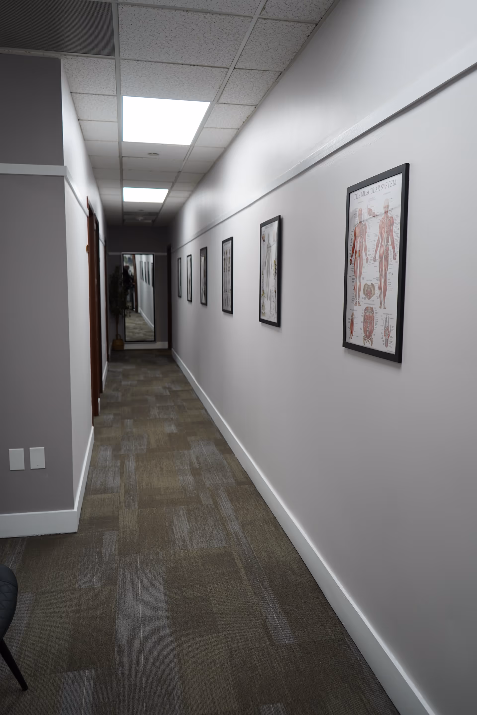 Long, well lit medical office hallway with framed anatomical posters along white walls and ceiling lights.