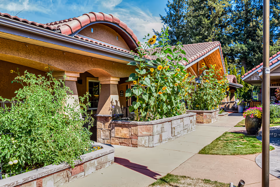 Walkway and entrance of a single-story building with tiled roofs, raised stone planters of sunflowers and greenery under a blue sky.