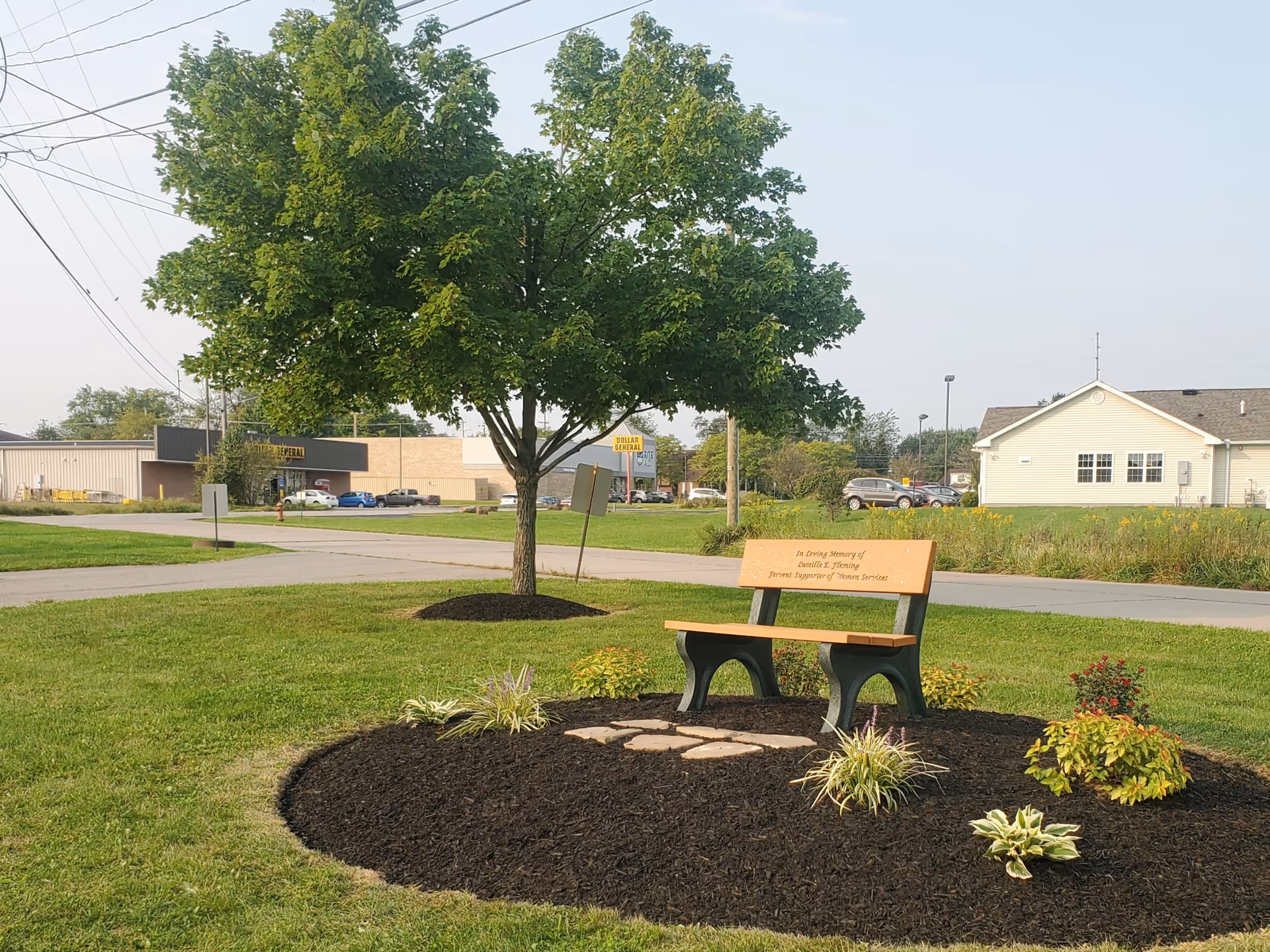 Park-like outdoor area with a wooden bench and tree in a landscaped circle.