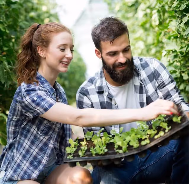Two adults in plaid shirts plant seedlings in a tray outdoors, smiling.