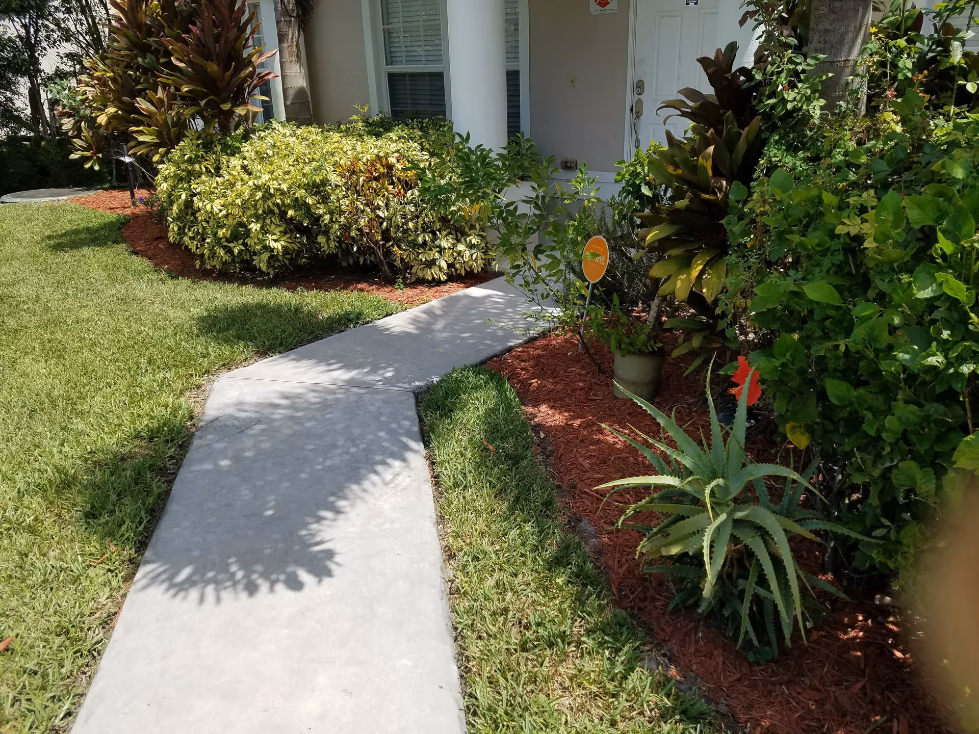 A concrete walkway leading to a white front door of a building, bordered by well-maintained green grass and various plants and shrubs with red mulch around them.