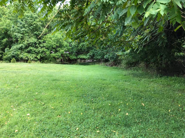 Lush green lawn with trees and shade in a park-like outdoor area.