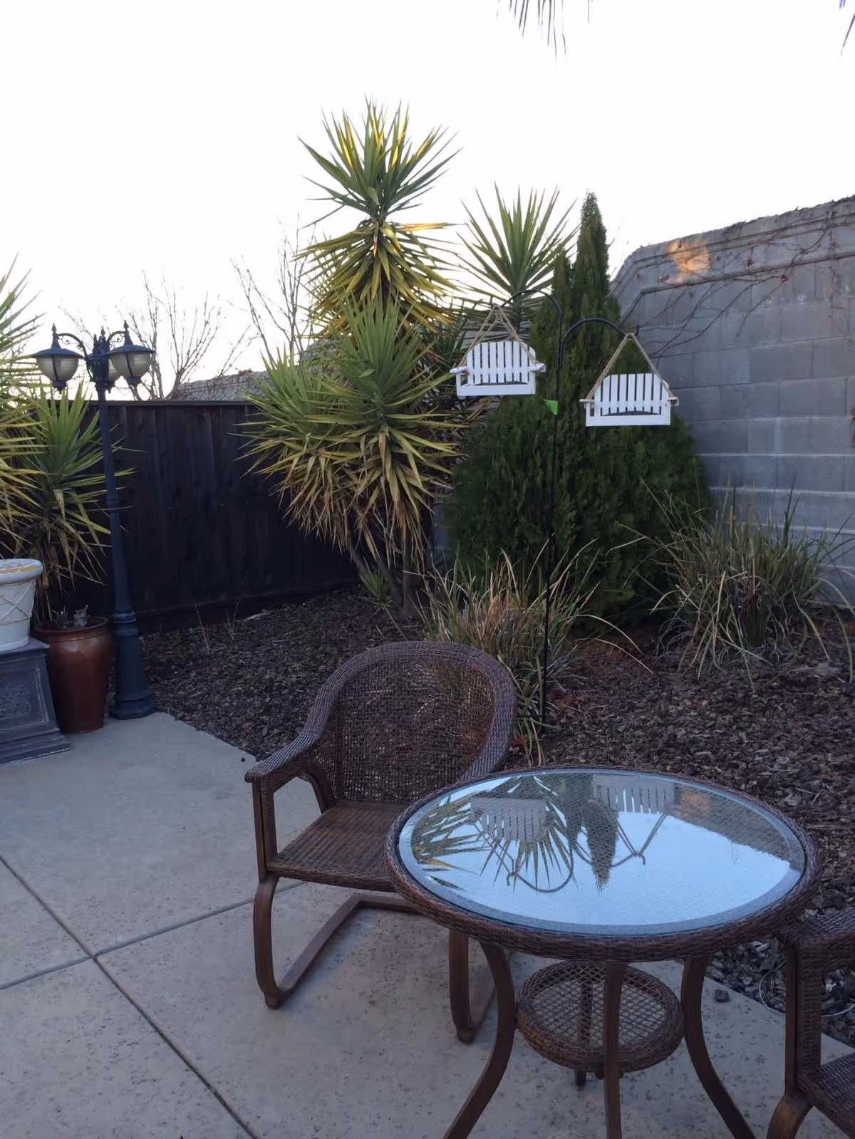 Outdoor patio area with a glass-top round table and two wicker chairs on a concrete surface. There are various plants including tall spiky green plants and bushes along a stone wall and wooden fence. Two white hanging bird feeders are visible among the plants.
