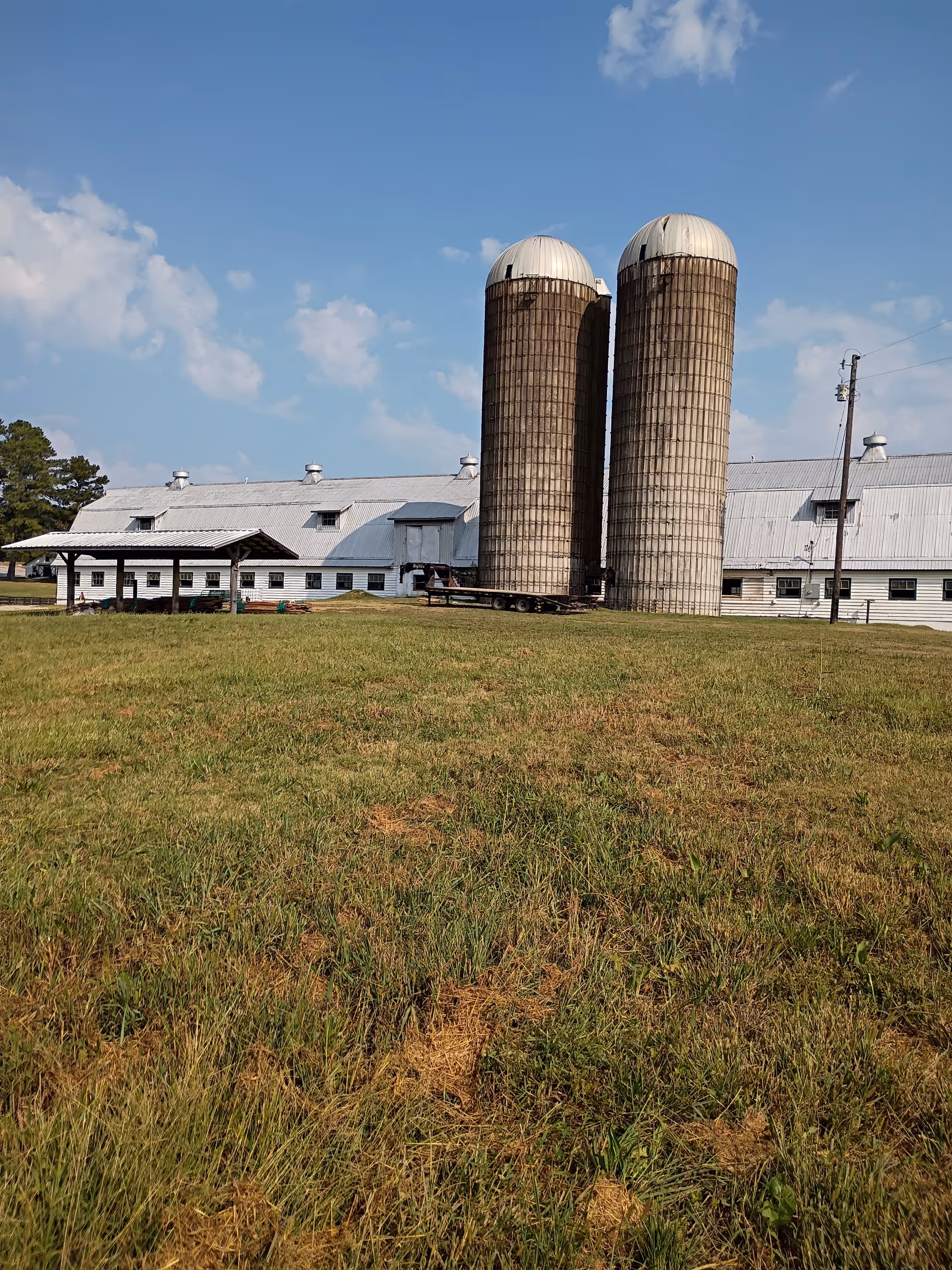 Wide grassy foreground, white facility, two tall silos, under a clear blue sky.