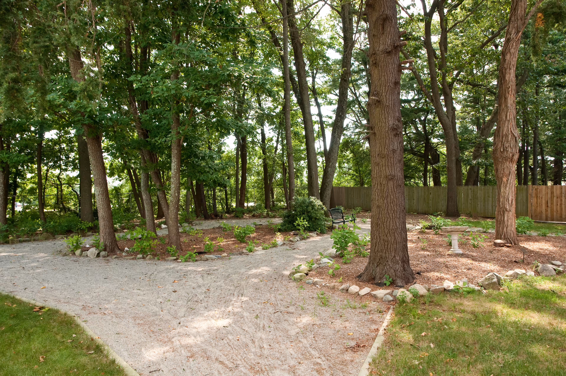 A shaded outdoor garden with trees, gravel paths, a bench, and a wooden fence.