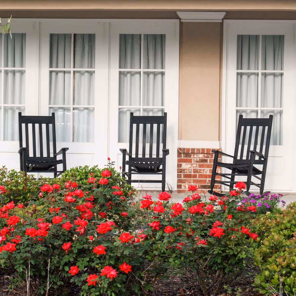 Three black rocking chairs on a porch in front of white French doors with curtains, surrounded by vibrant red flowers and green bushes.