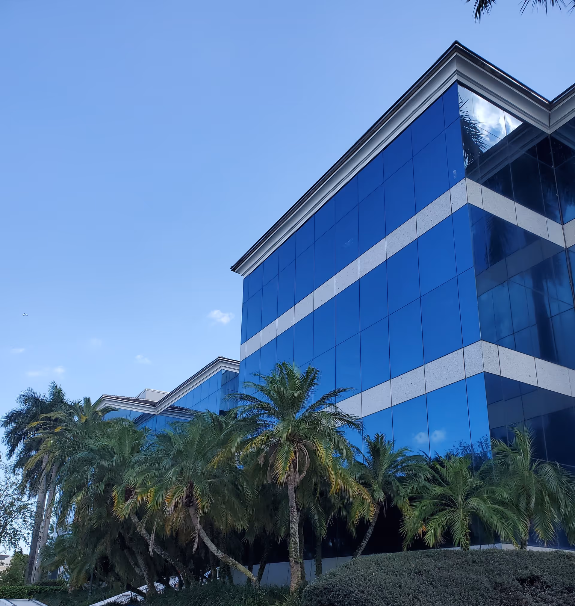 Blue glass building exterior with palm trees in front against a clear sky