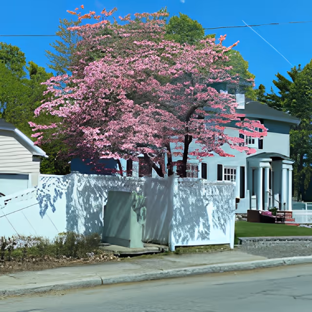 A large white house with columns at the entrance, partially obscured by a white fence and a tree with pink blossoms. The sky is clear and blue, and there are green trees in the background.