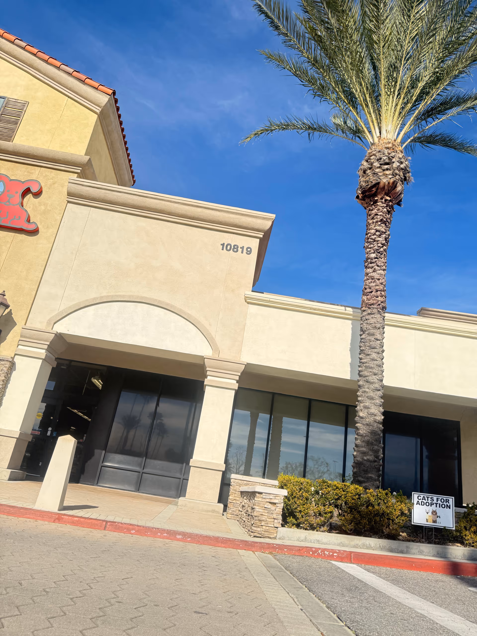 Front exterior of a beige senior facility with glass doors and a tall palm tree.