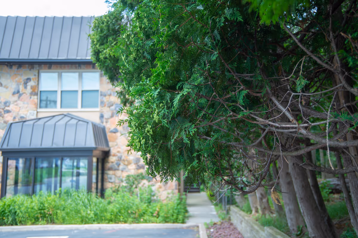 Stone-clad building exterior with large windows, glass entrance, and surrounding greenery.