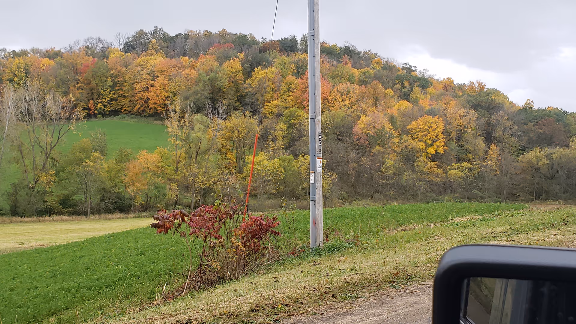 A rural autumn landscape with colorful trees, green fields, a utility pole, and a car mirror.