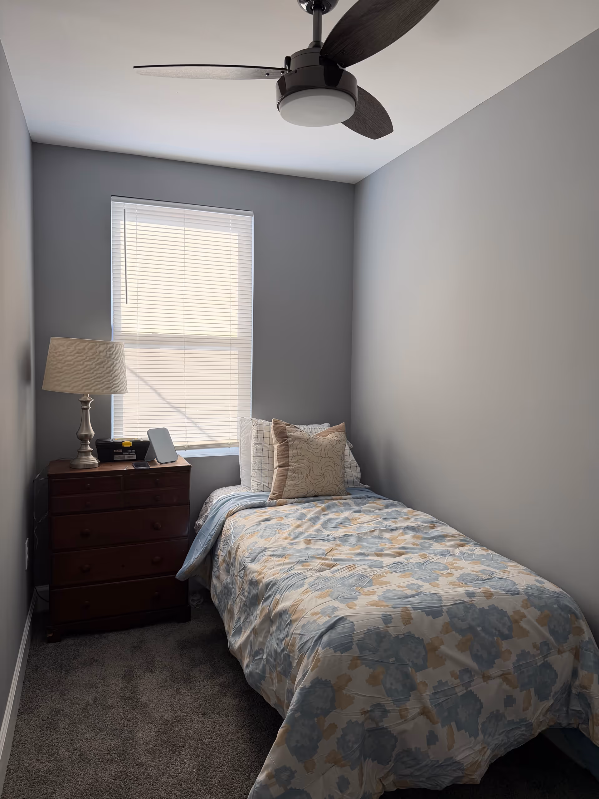 Small gray bedroom with a single bed, nightstand, lamp, window, and ceiling fan.