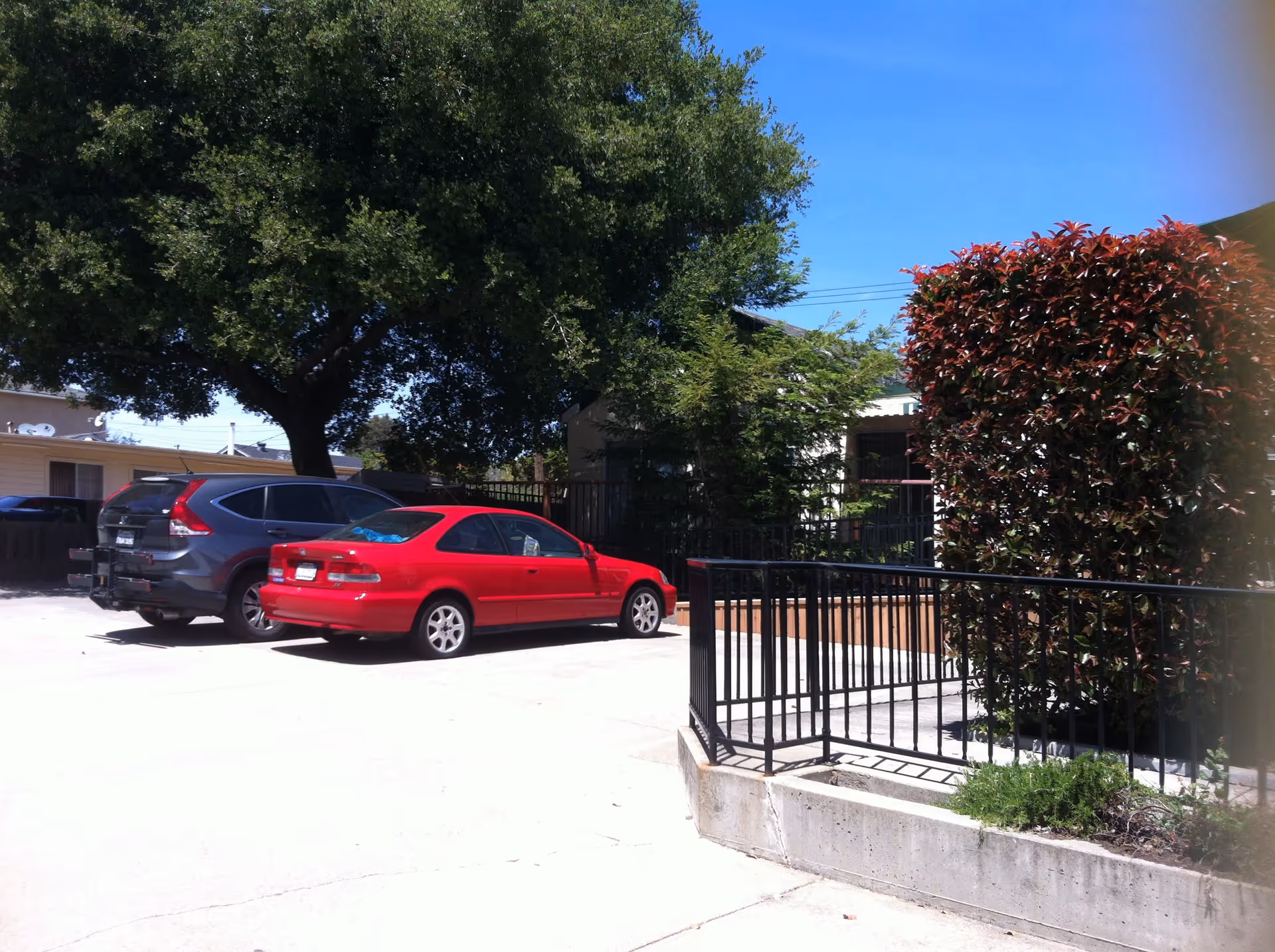 Outdoor parking area with two parked cars under a large tree, a metal railing and a trimmed hedge near the building.