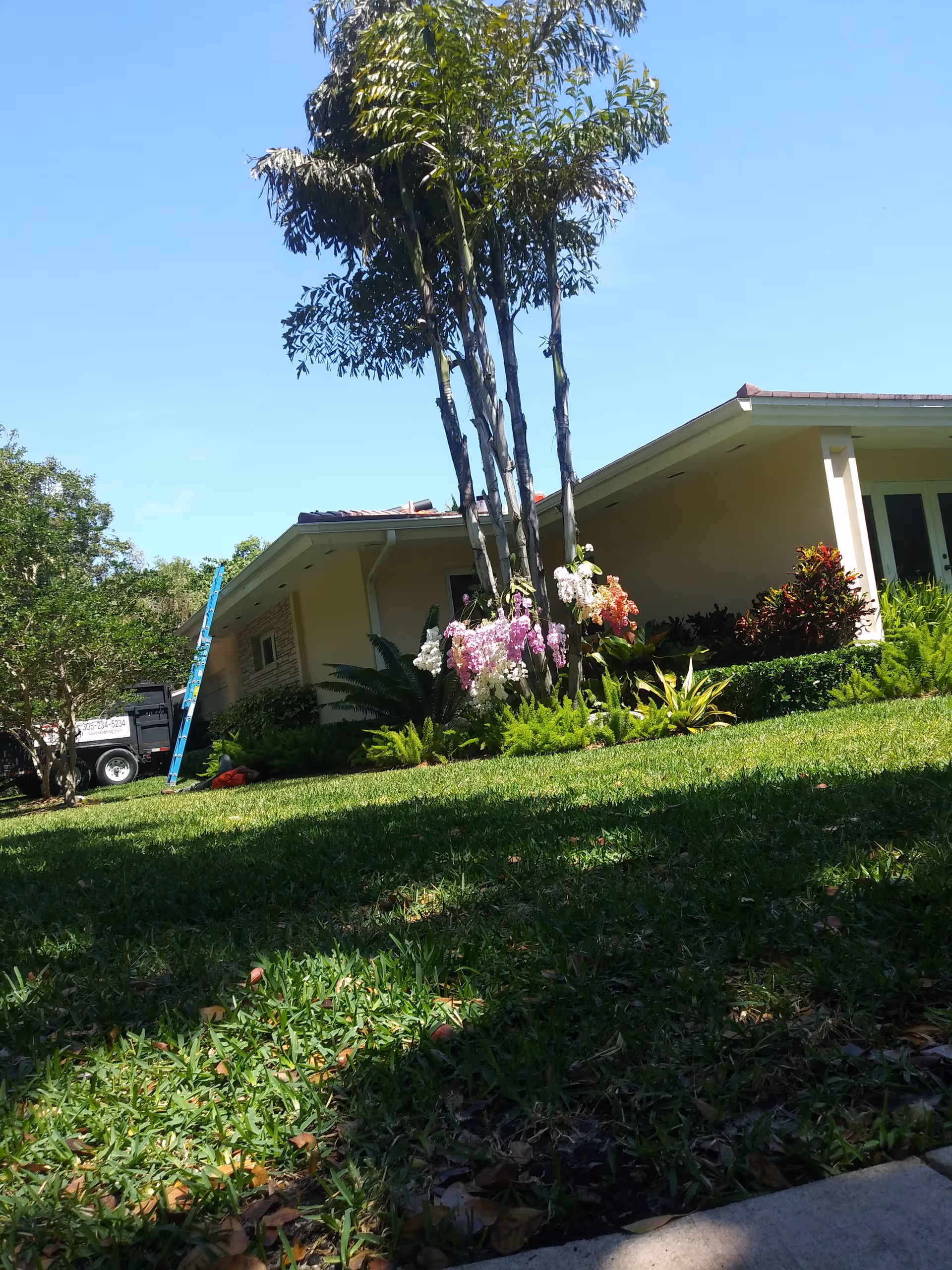 Sunny front yard and entrance of Homestead Manor with landscaping.