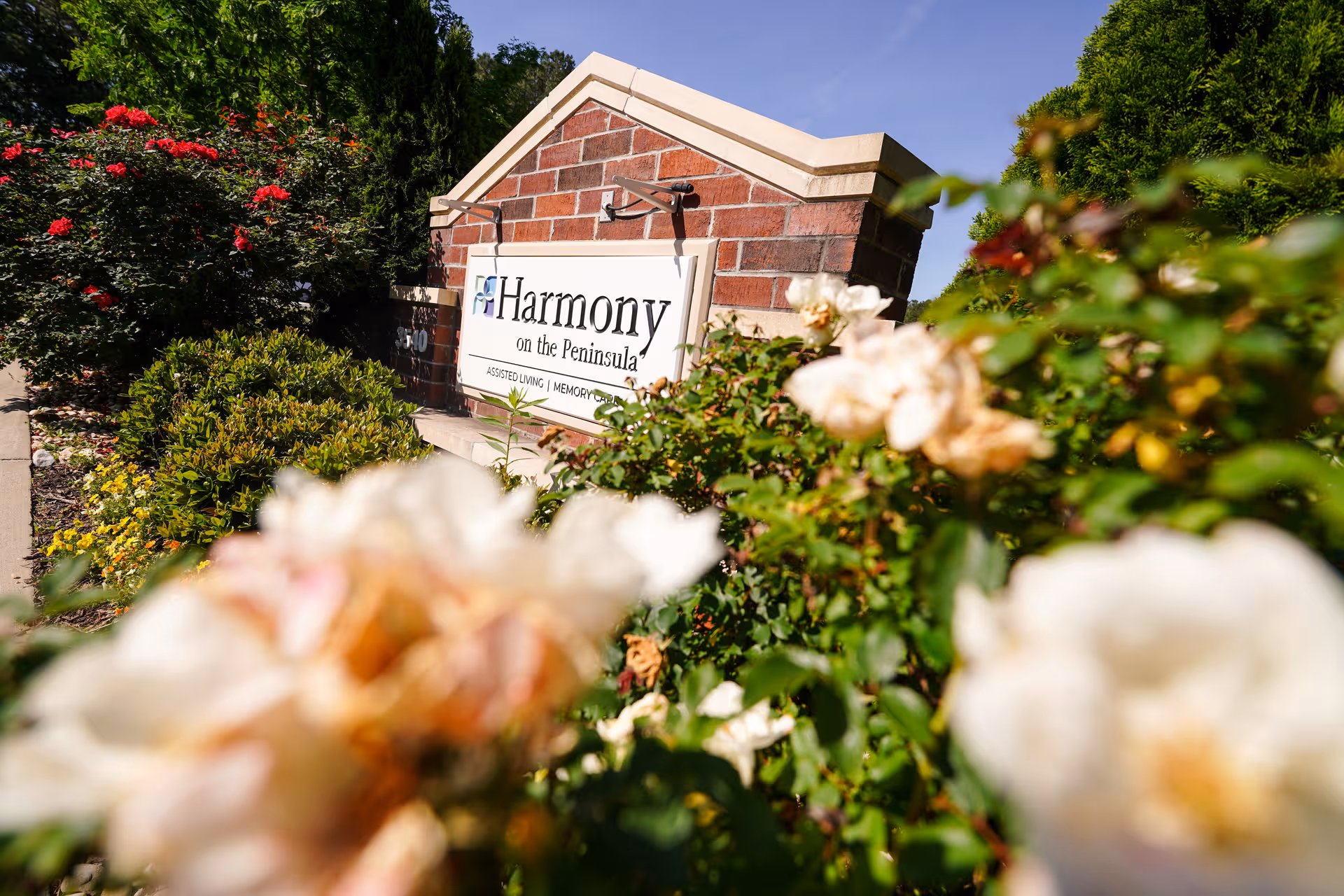 Exterior view of Harmony on the Peninsula sign with brick monument and blooming roses.