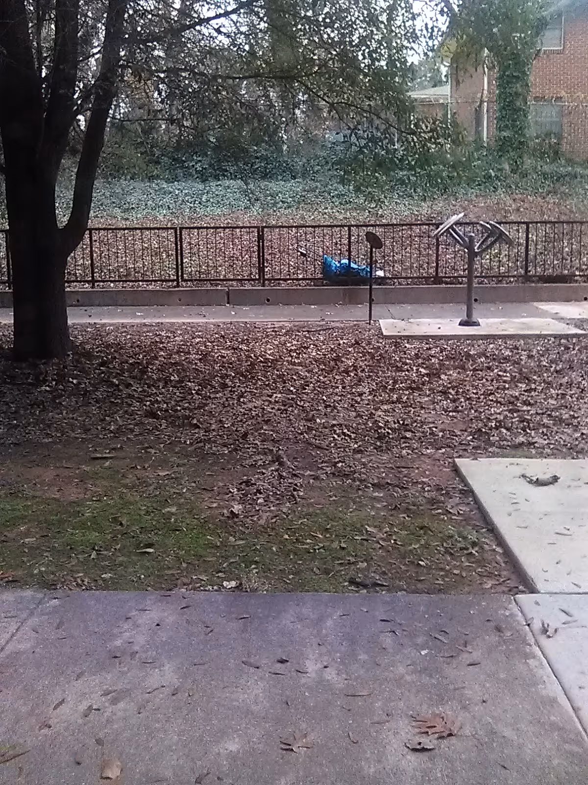 An outdoor courtyard with a metal railing, exercise bike, fallen leaves, and trees.