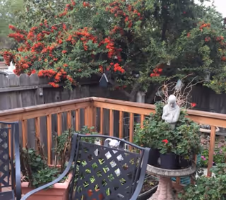 Outdoor patio with metal chairs, potted plants, and a small statue by a wooden railing.