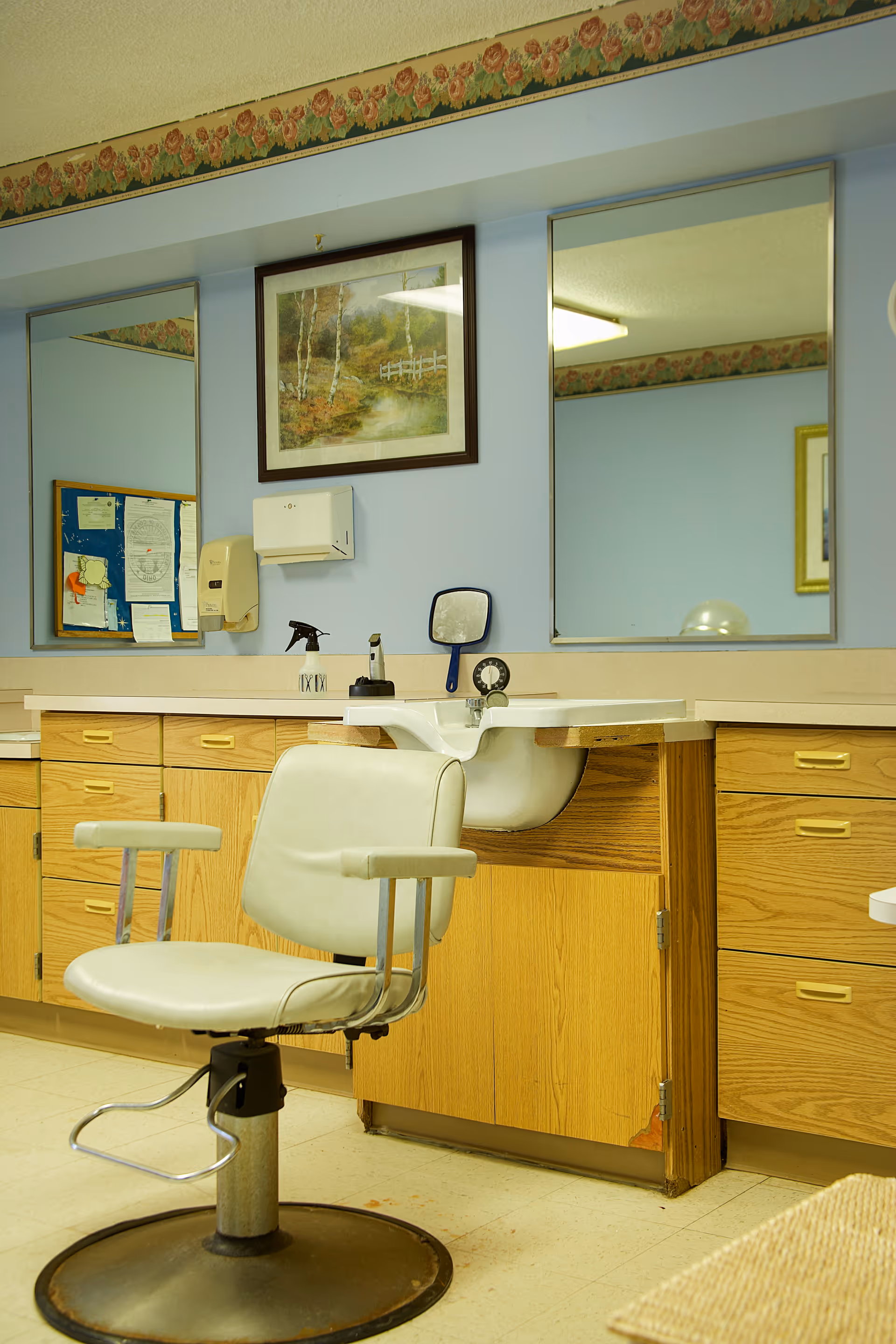 Interior view of a salon or grooming area with a white swivel chair in front of a sink and wooden cabinets. Two large mirrors are mounted on the light blue wall above the counter, with a framed landscape painting between them. A bulletin board with papers and a soap dispenser are also visible on the wall.