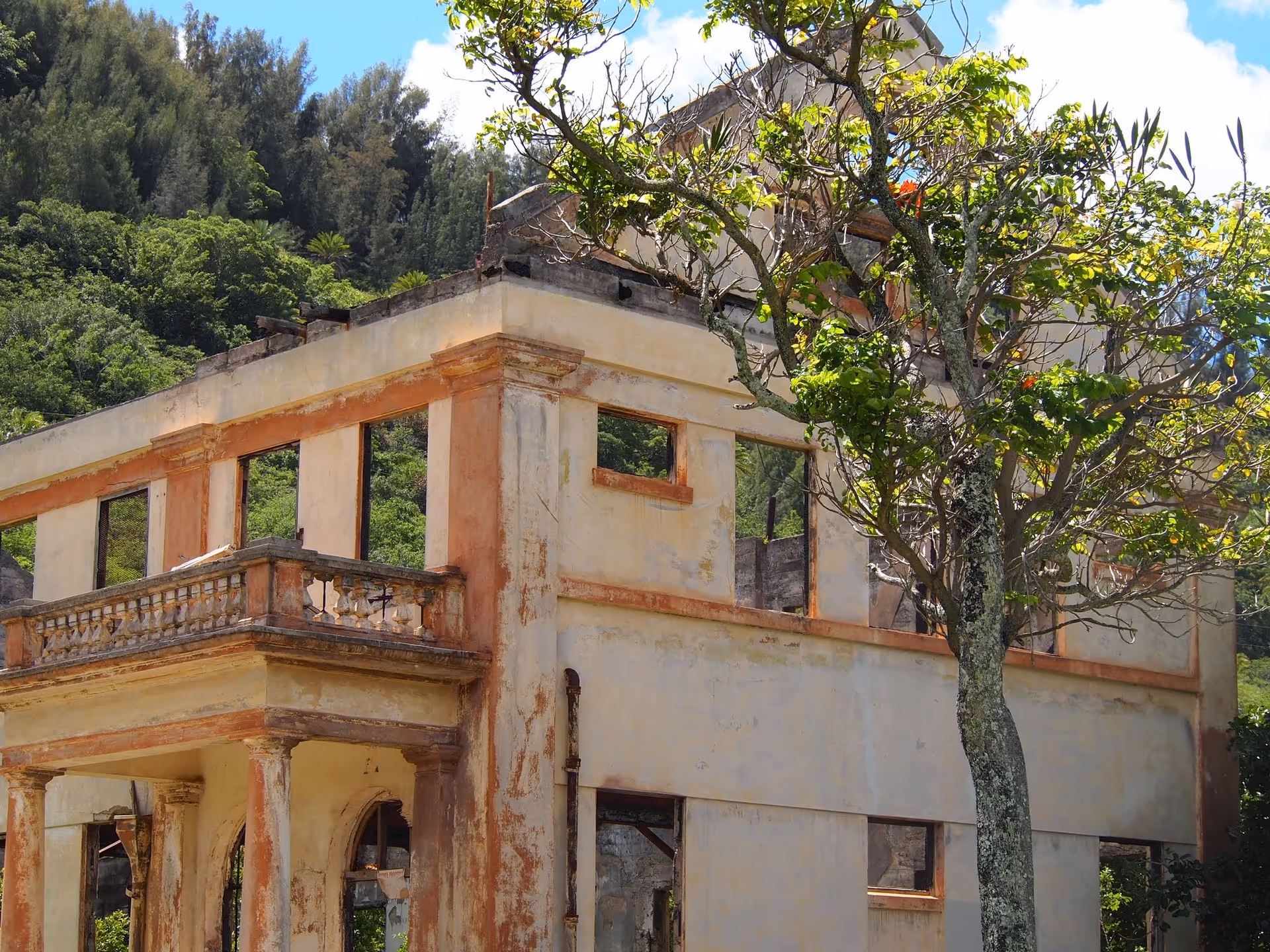 Dilapidated two-story building with peeling paint and a tree in front.