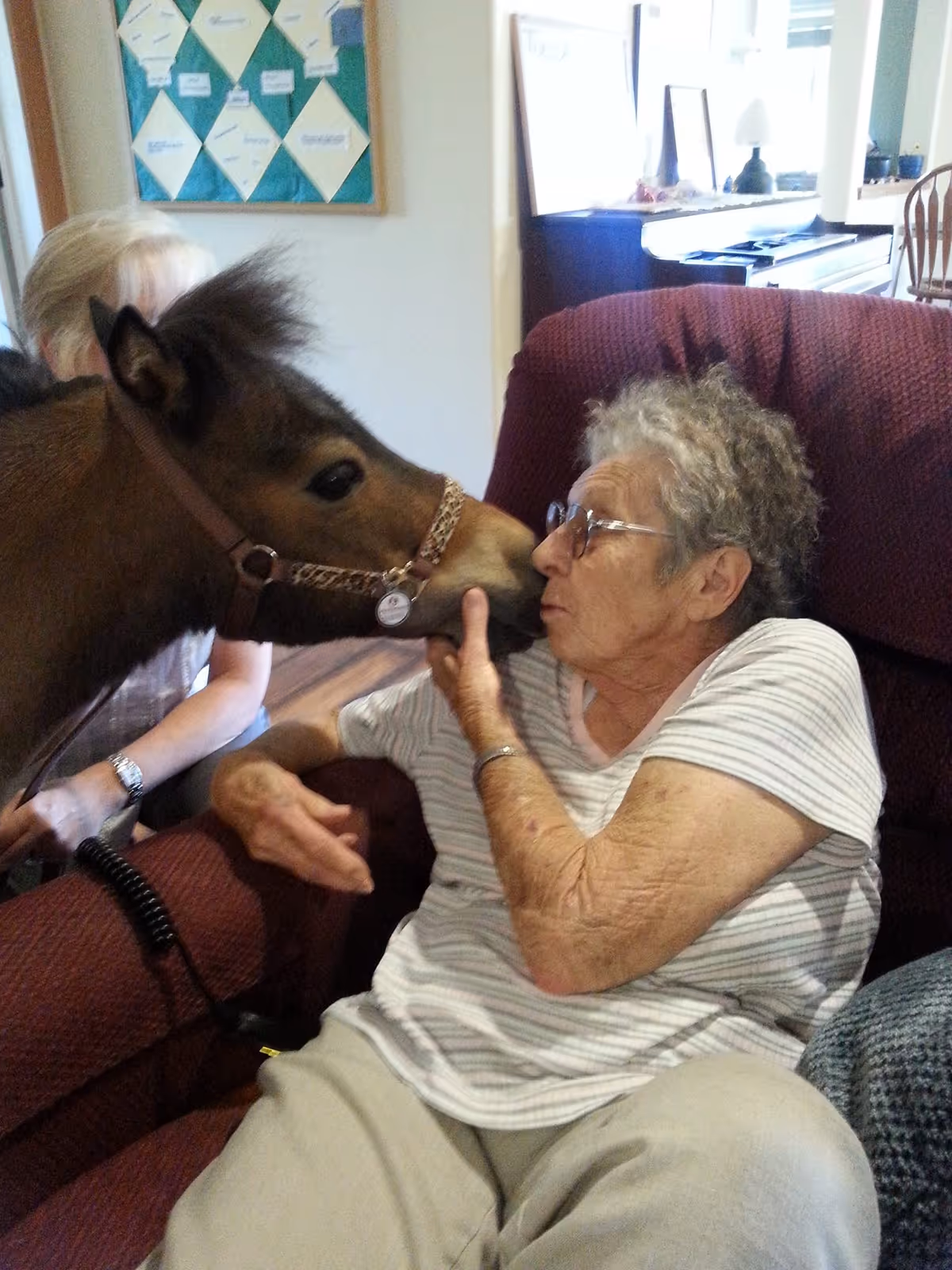 Elderly woman seated in burgundy chair interacts with a small horse indoors.