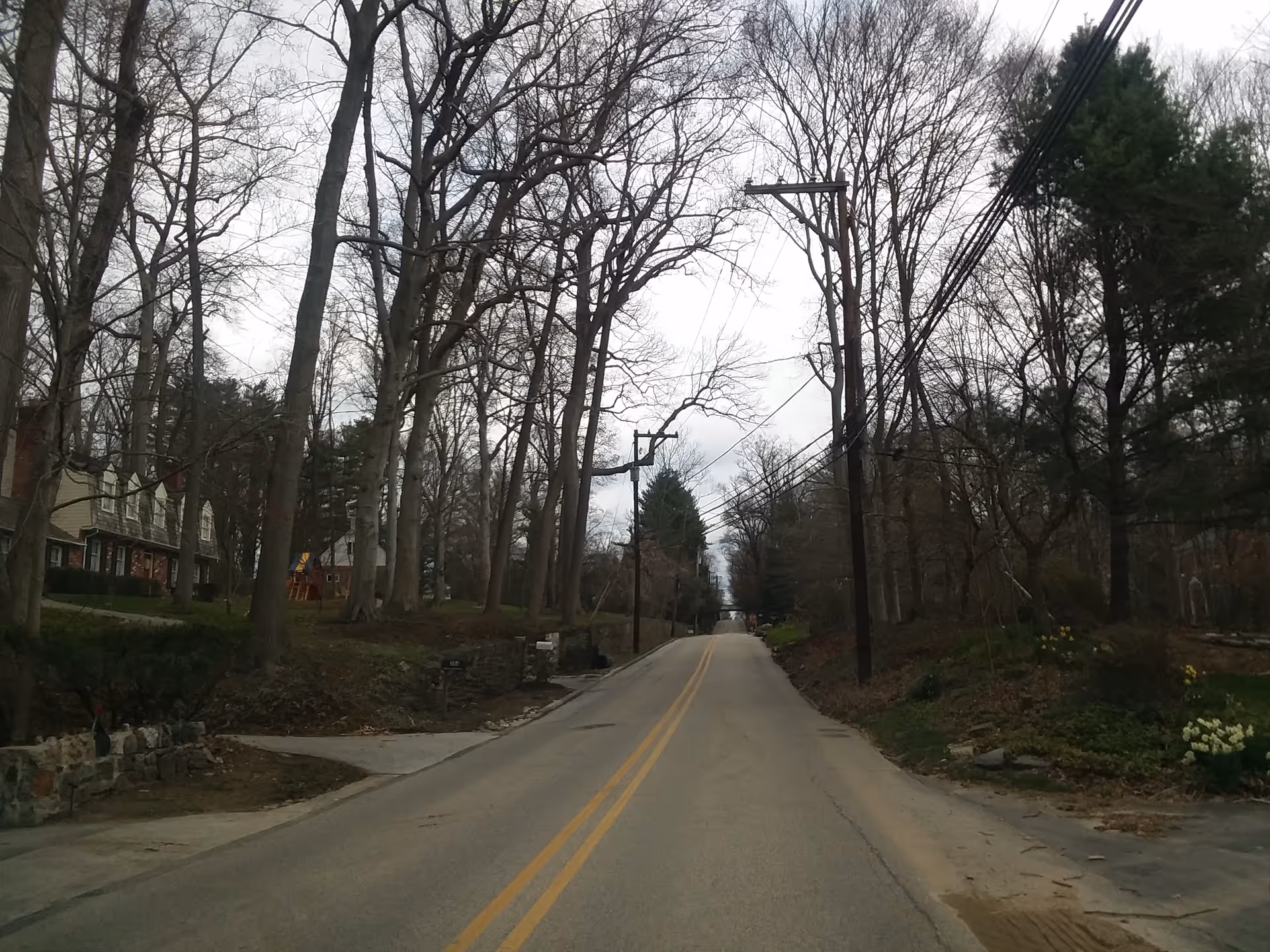 A quiet residential street lined with leafless trees and utility poles.