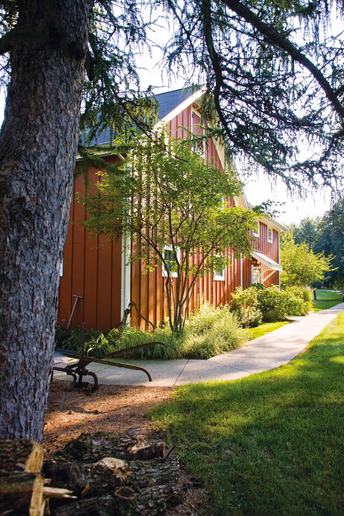 A red building with white trim partially obscured by trees and bushes, with a concrete pathway running alongside it. The scene is sunlit with green grass and a large tree trunk in the foreground.