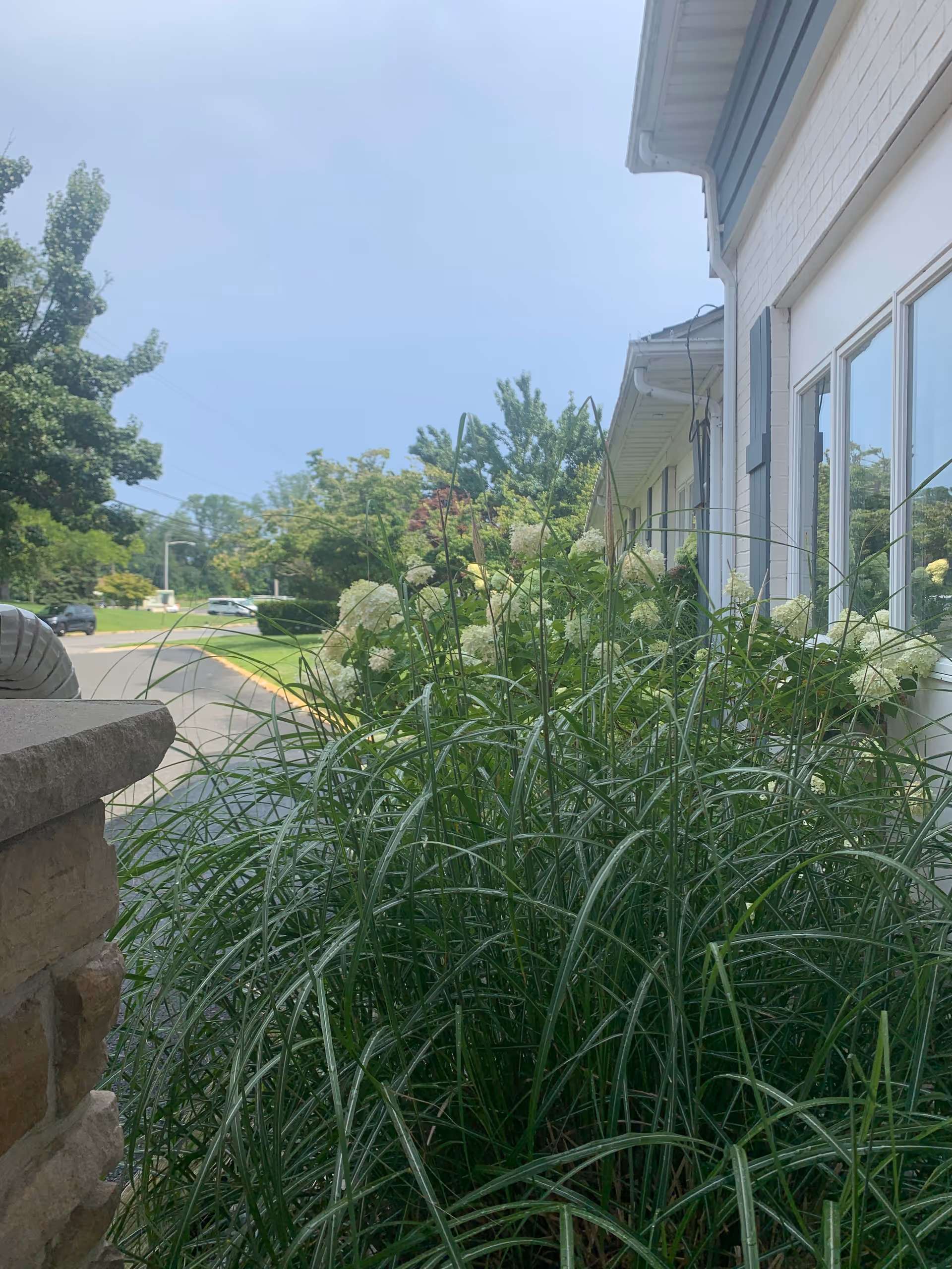 Exterior view of Neptune Gardens Nursing and Rehab with tall grasses along the building