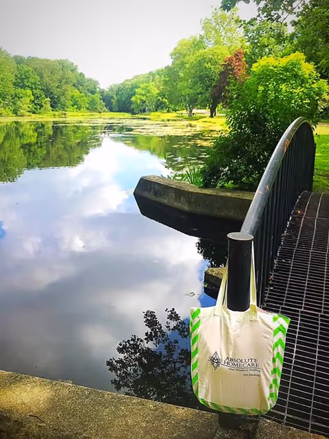 Outdoor park scene with a bridge over a pond and a branded tote bag