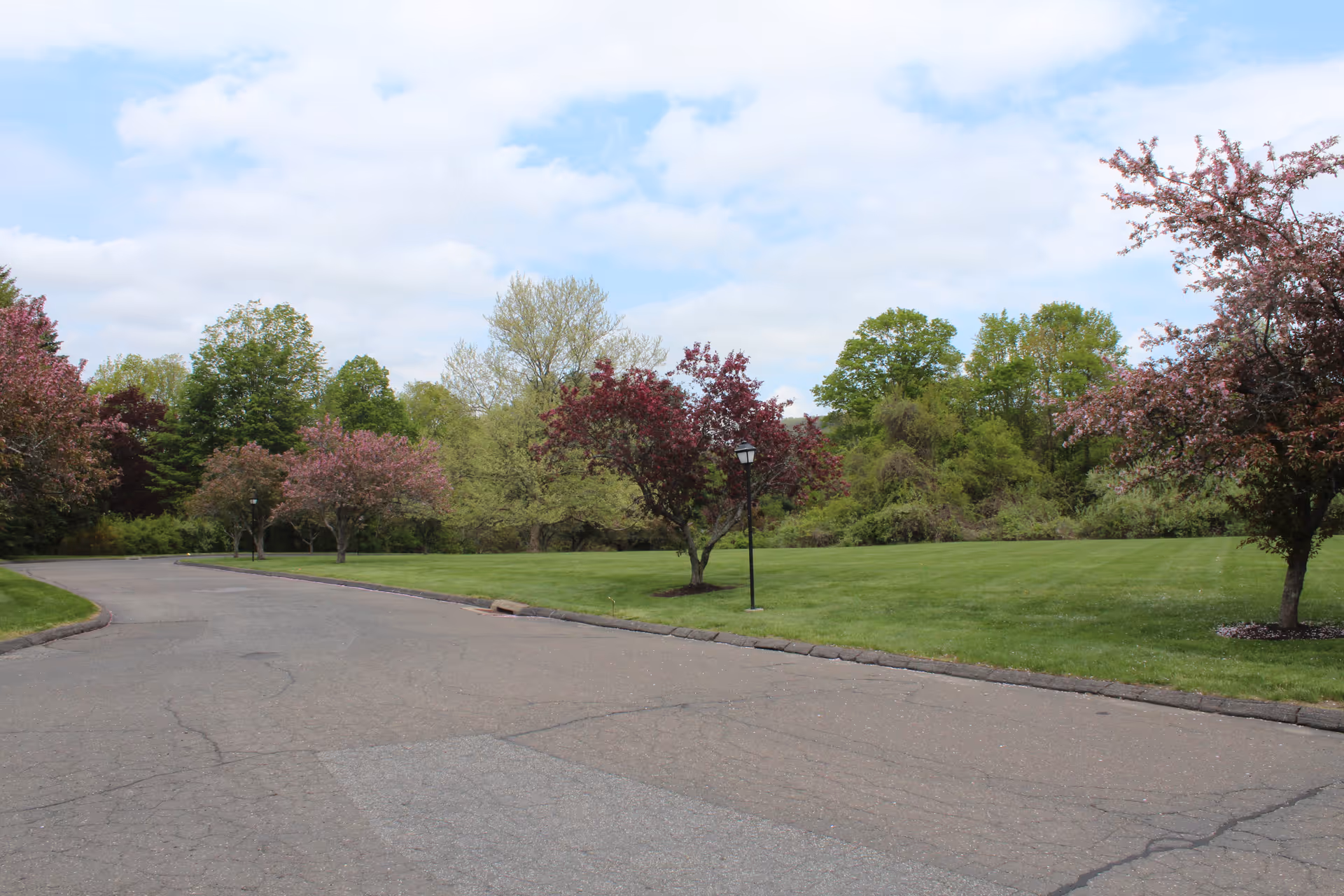 A paved road curves through a landscaped outdoor area with green grass and several trees with pink and green foliage under a partly cloudy sky.