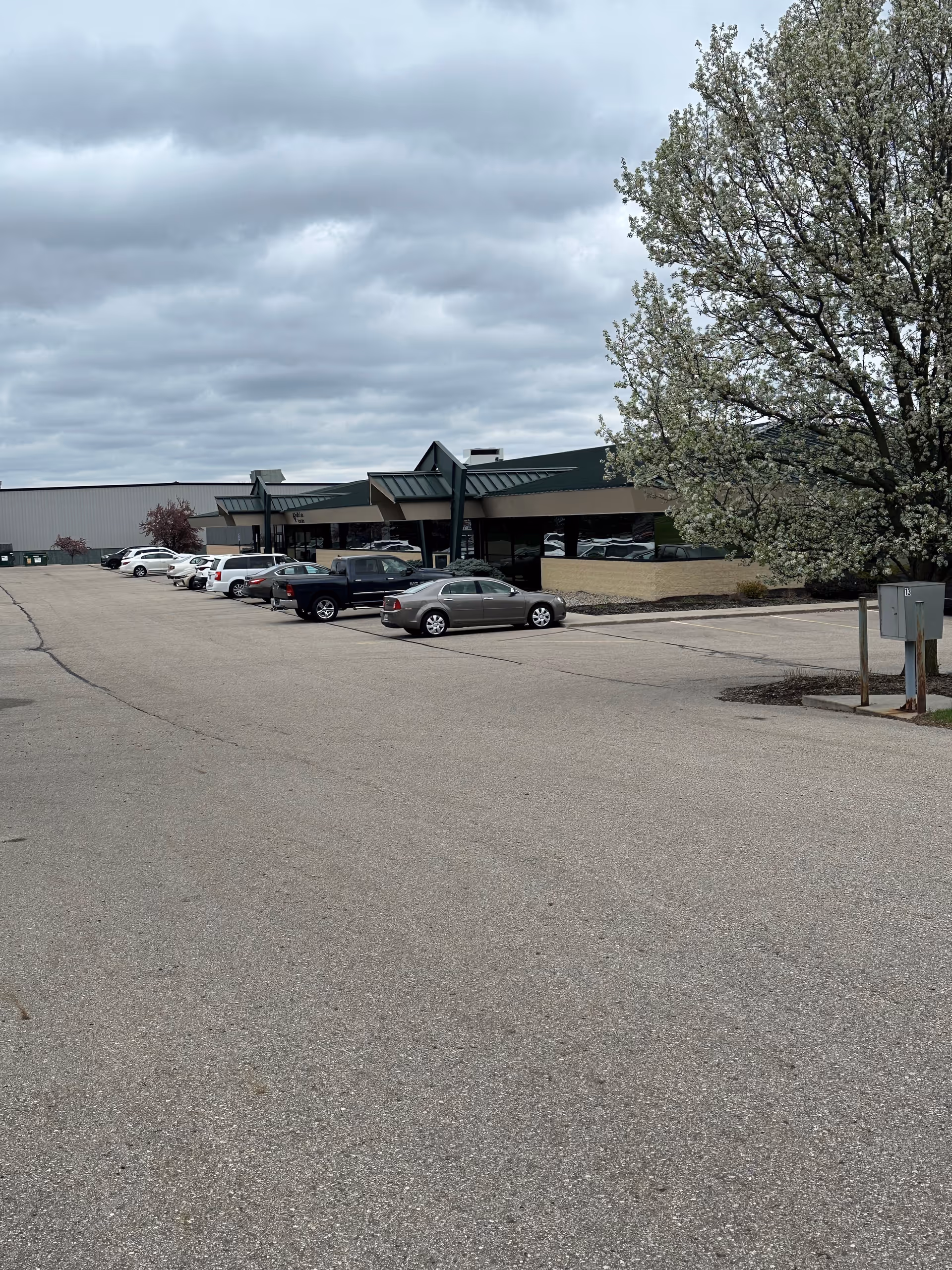 Parking lot in front of a healthcare facility with a blooming tree.