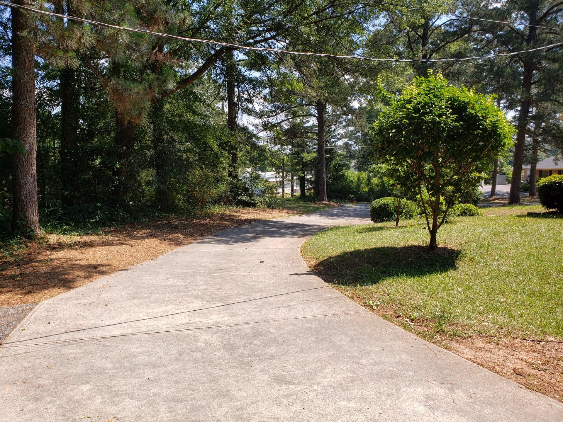 A curved concrete walkway winds through trees and greenery in a sunny outdoor area.
