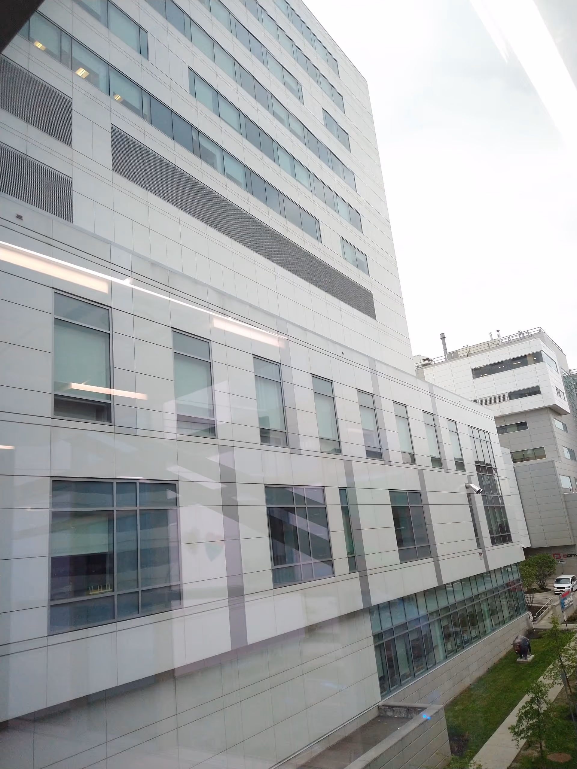 Tall modern white building with many windows along a glassy exterior.