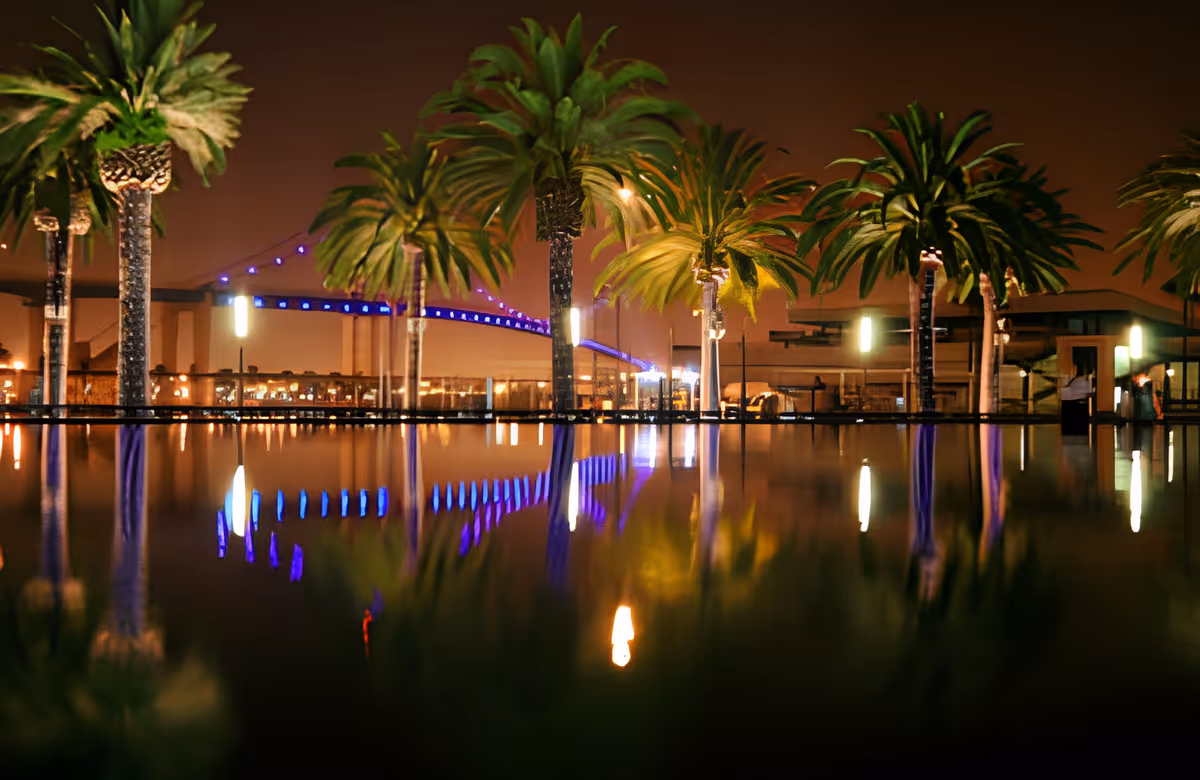 Night scene of palm trees and a lit bridge reflected in calm water at a waterfront promenade.