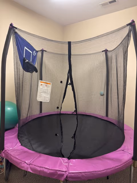 Small indoor room with a purple-framed trampoline and exercise ball.