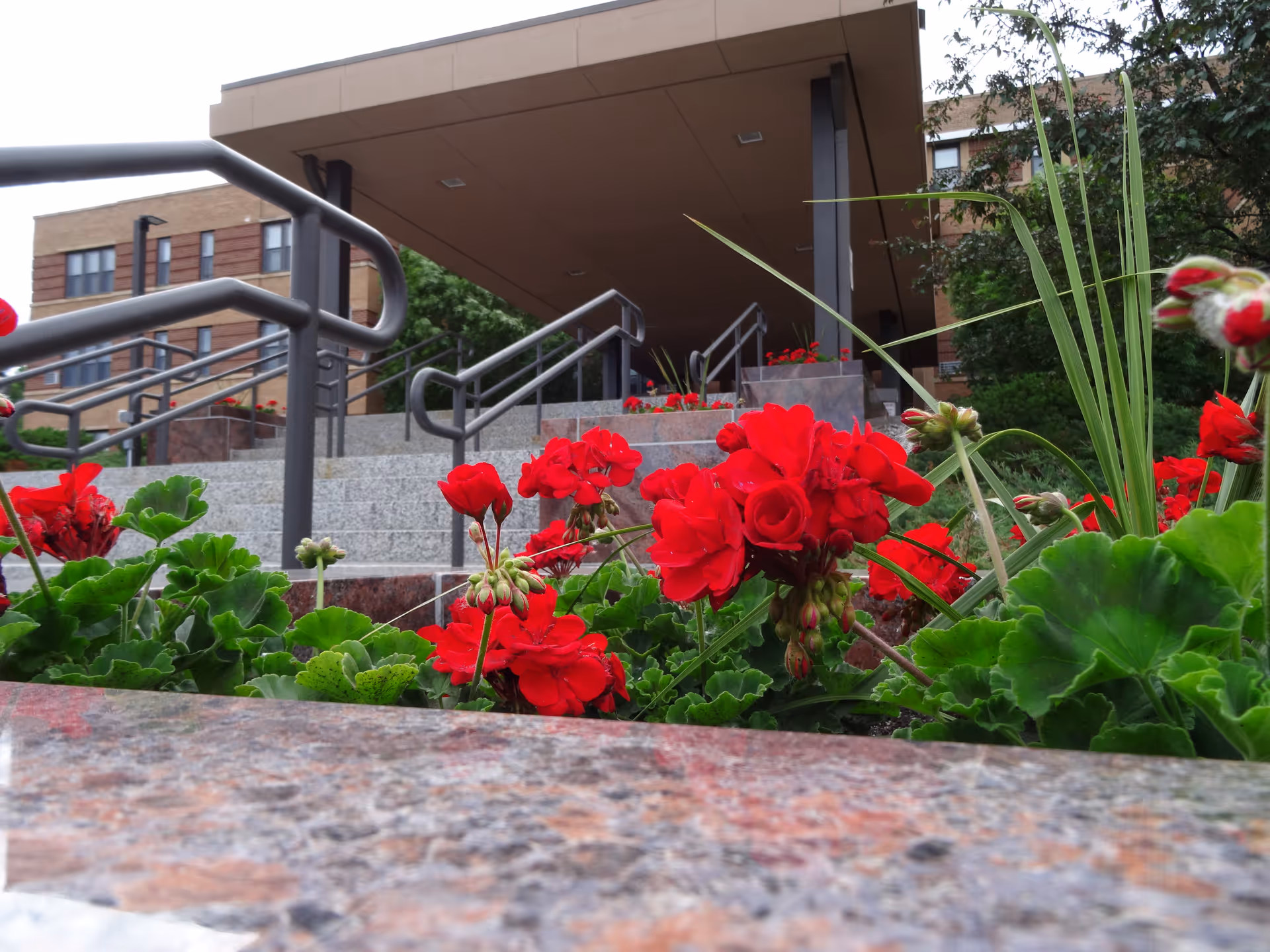Front entrance of Benedictine Living Community-Crookston with red flowers and stone stairs