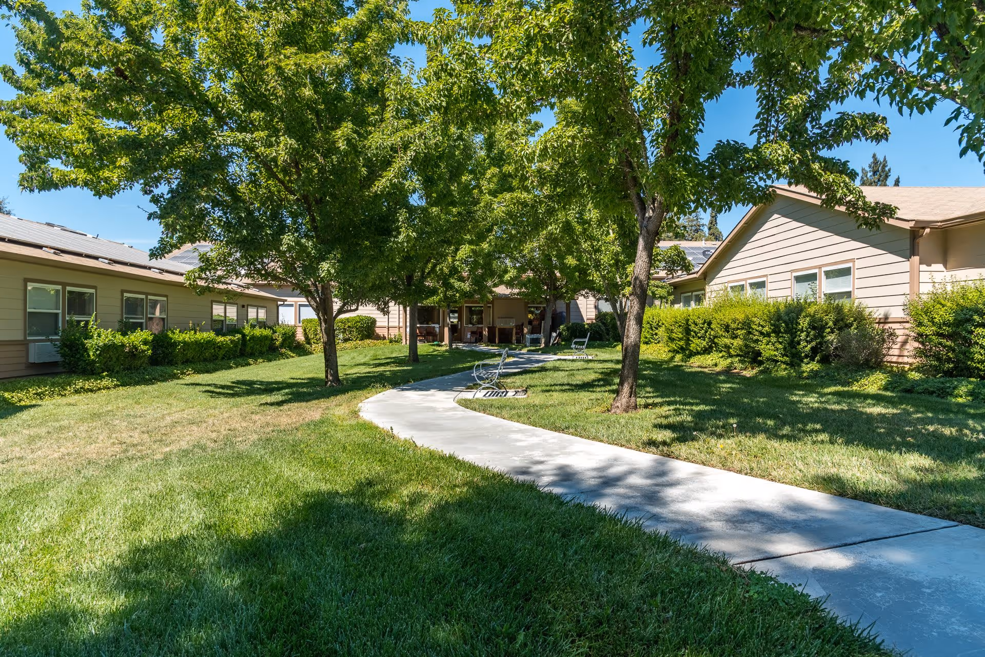 A sunny outdoor courtyard at Healdsburg Senior Living with a concrete pathway winding through green grass and trees. Single-story buildings with beige siding and multiple windows surround the courtyard. There are benches along the pathway and bushes lining the buildings.