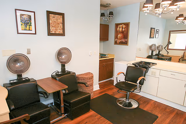 Hair salon chairs, hood dryers, sinks, and mirrors arranged in a bright interior.