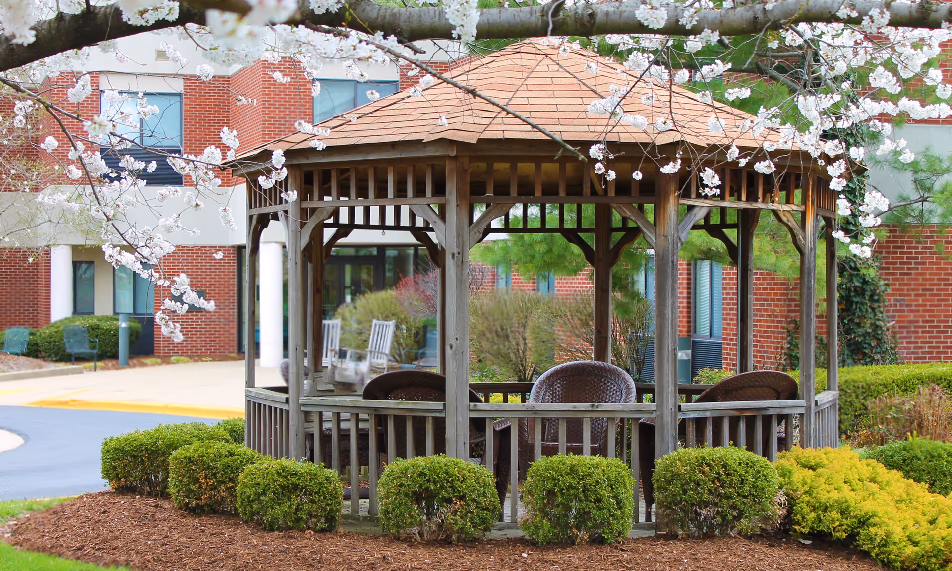 A wooden gazebo with a shingled roof surrounded by neatly trimmed bushes and flowering tree branches in front of a brick building with windows and white columns.
