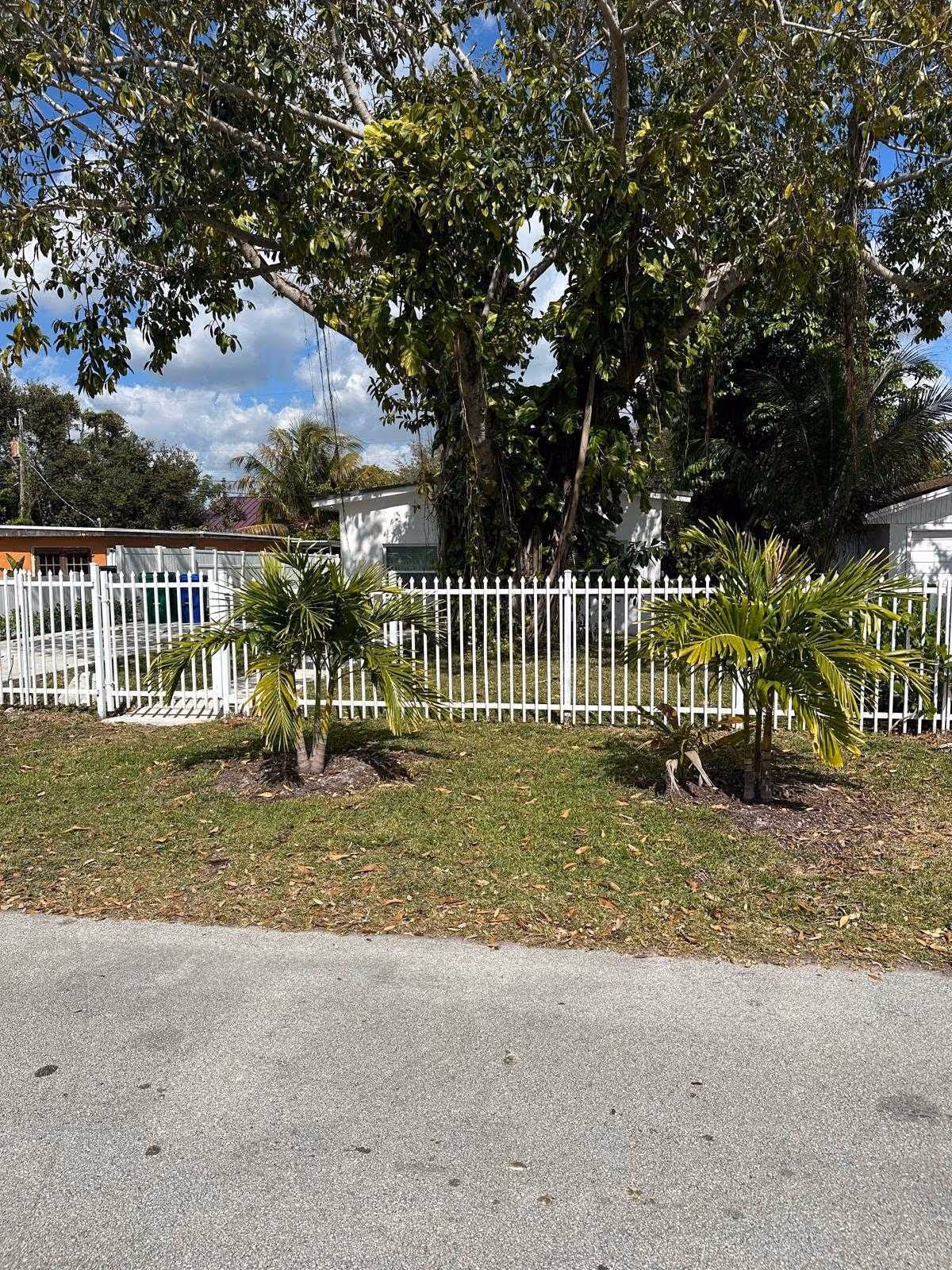 Exterior view with white fence, palm trees, and a large tree in a grassy yard.