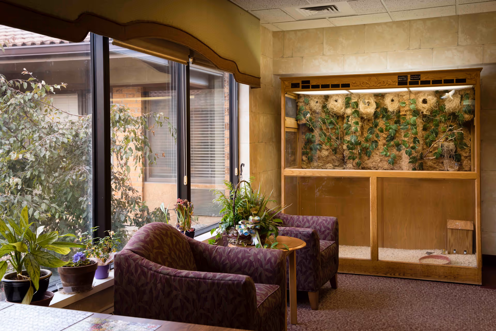 A cozy indoor seating area with two purple patterned armchairs and a small round wooden table between them, decorated with potted plants. Large windows on the left side let in natural light and show greenery outside. On the right side, there is a large wooden and glass enclosure with multiple bird nests and some green plants inside.