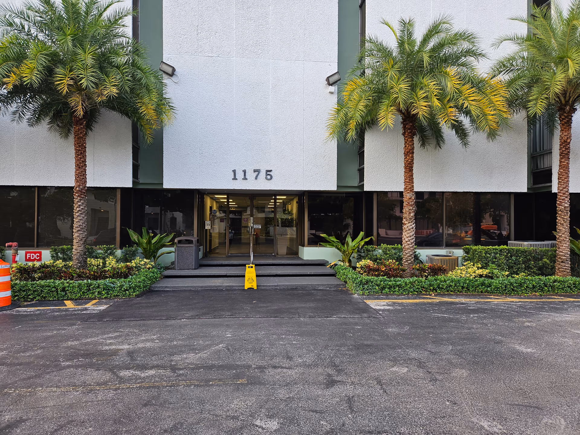 Front entrance of a modern building with palm trees and the number 1175.