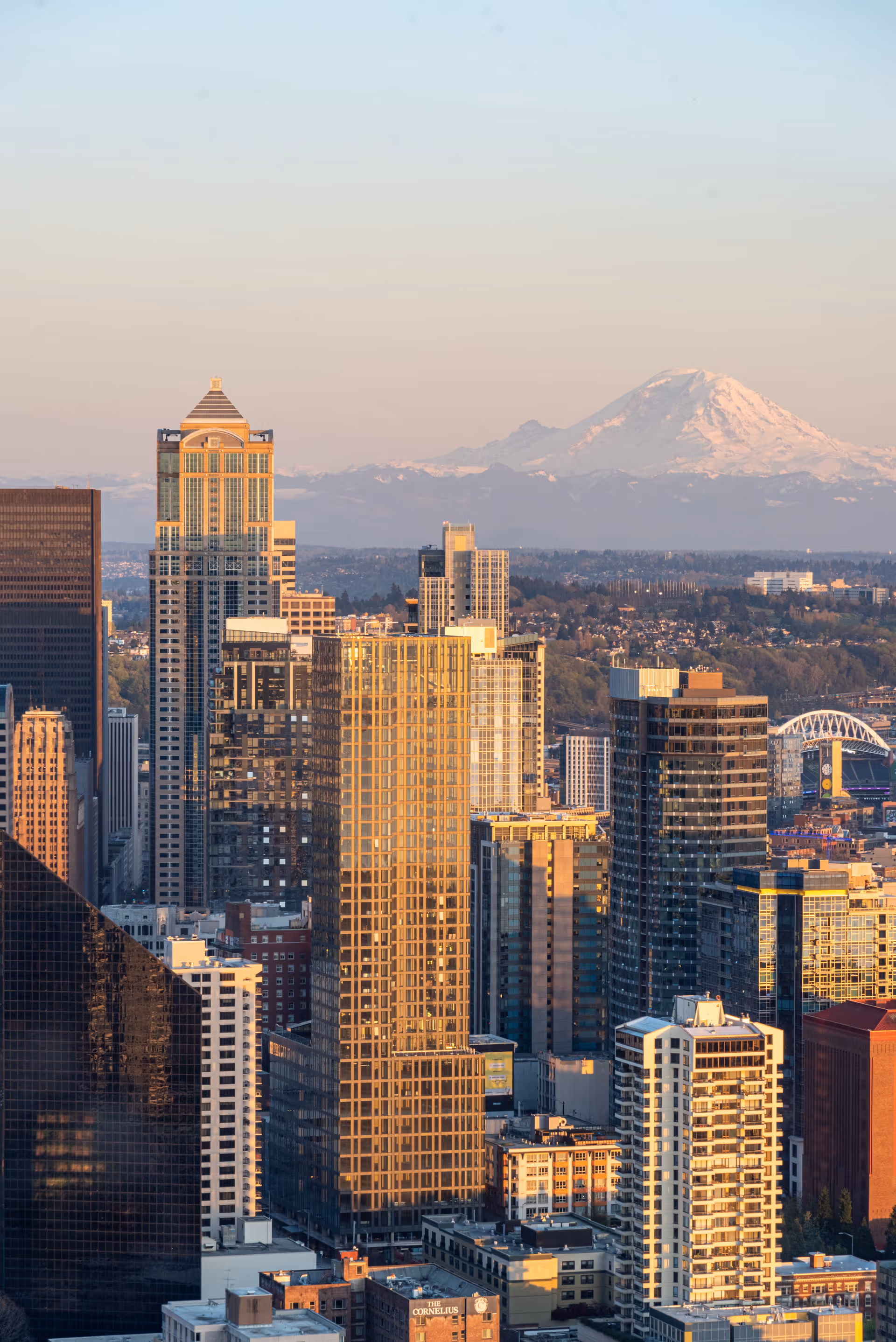 City skyline with tall skyscrapers and a distant snow-capped mountain.