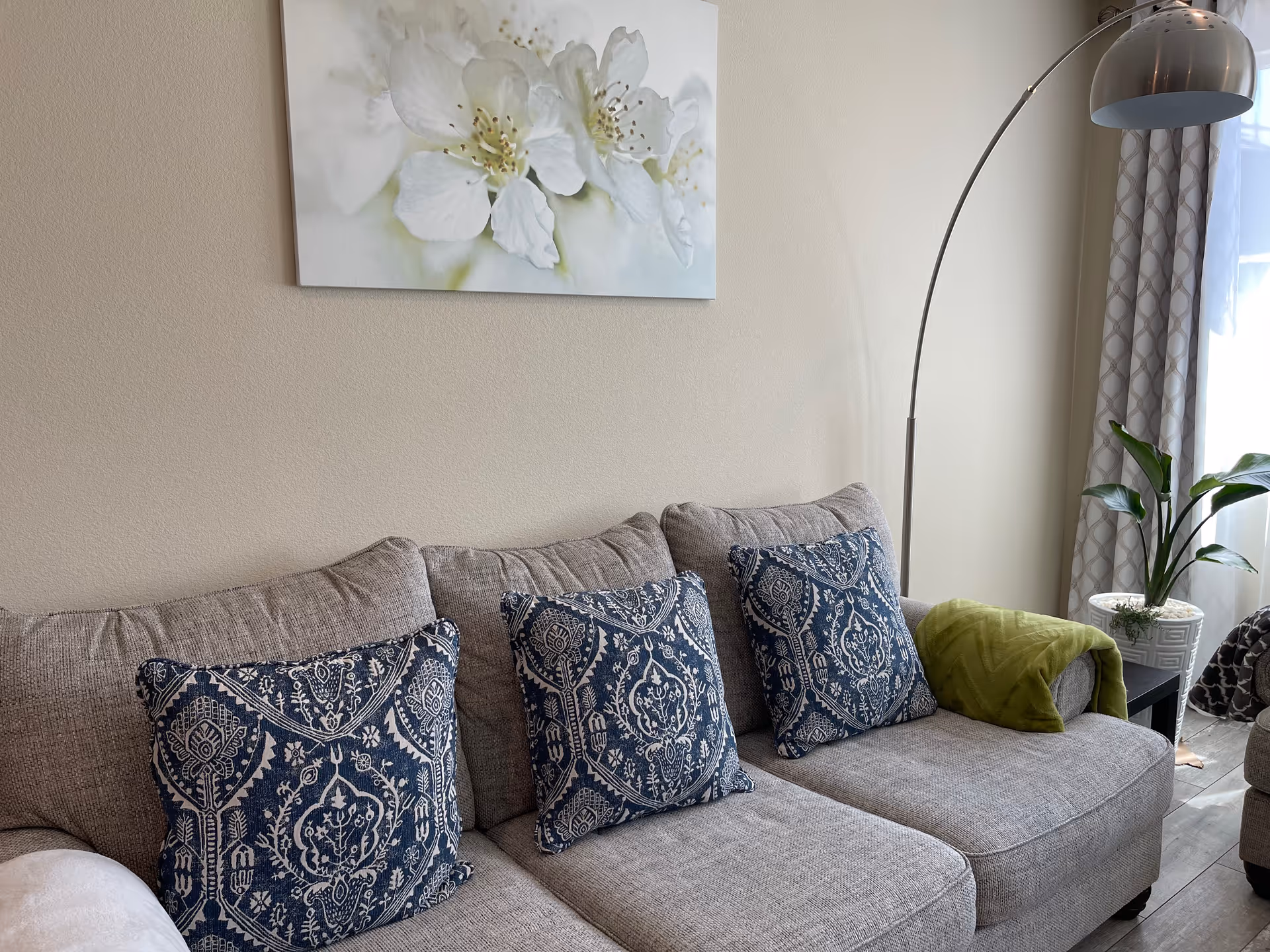 Light living room with gray sofa, blue patterned pillows, plant, and lamp.
