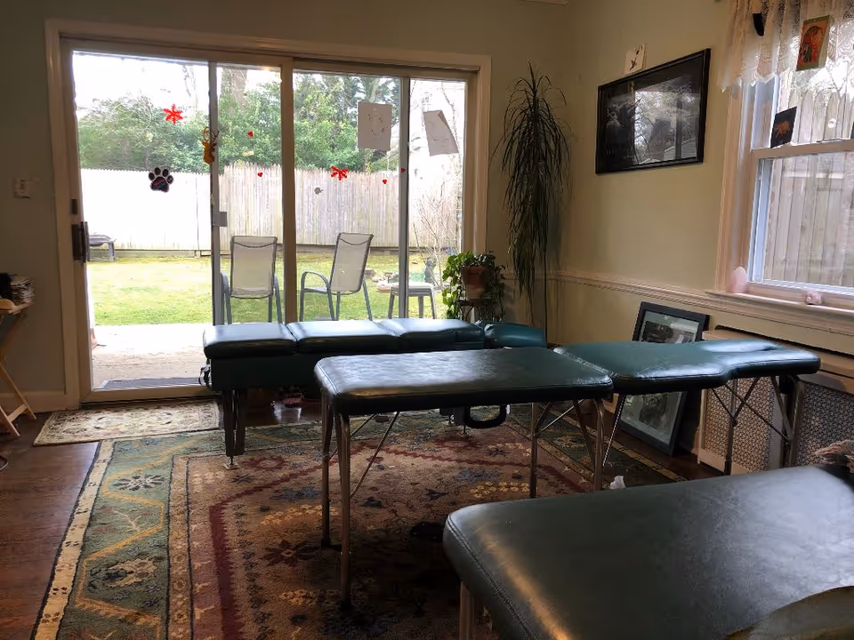 Chiropractic treatment tables in a bright interior with sliding glass doors to a backyard.