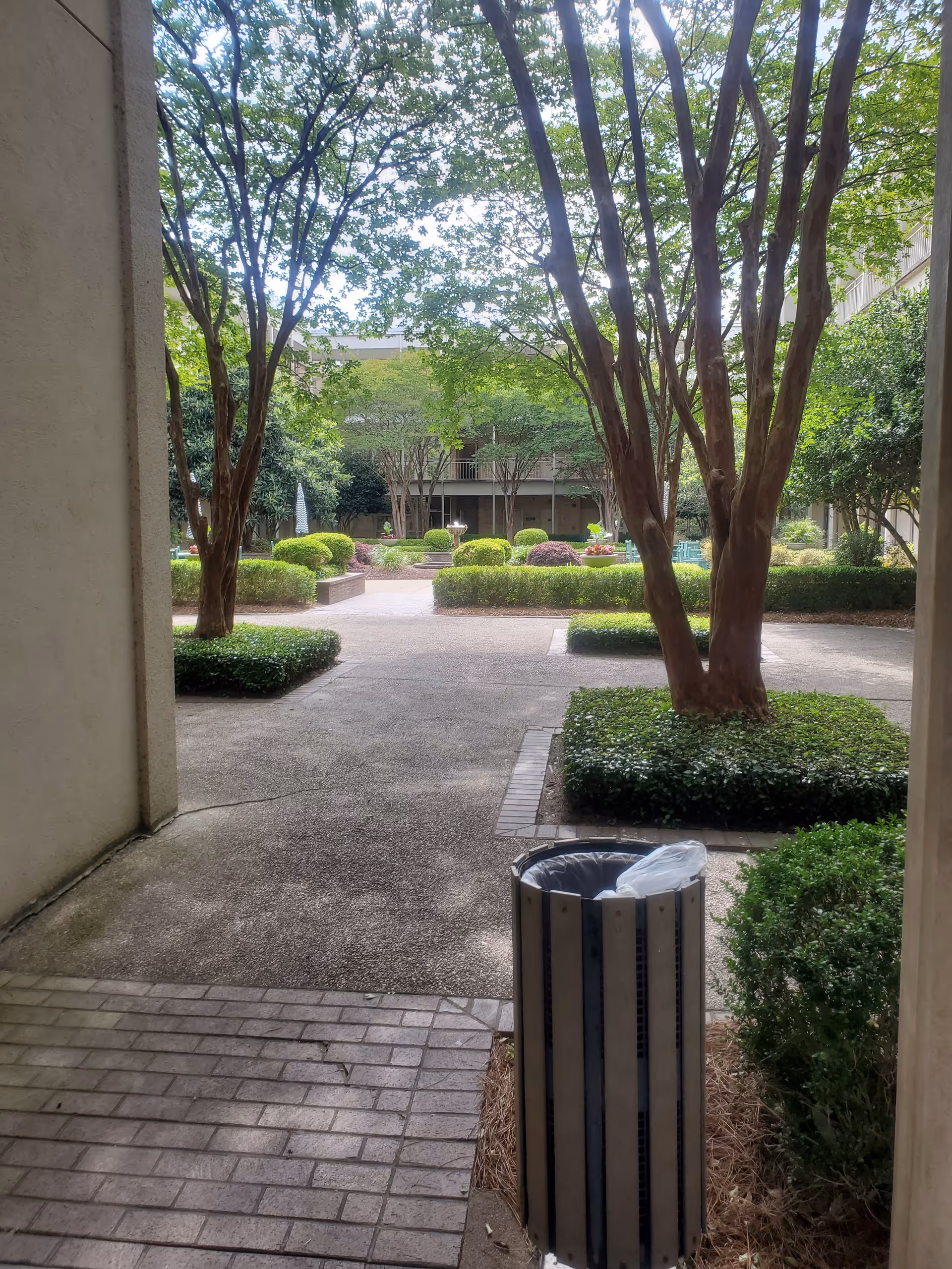 Outdoor courtyard with trees, trimmed shrubs, walkways, and a trash can.