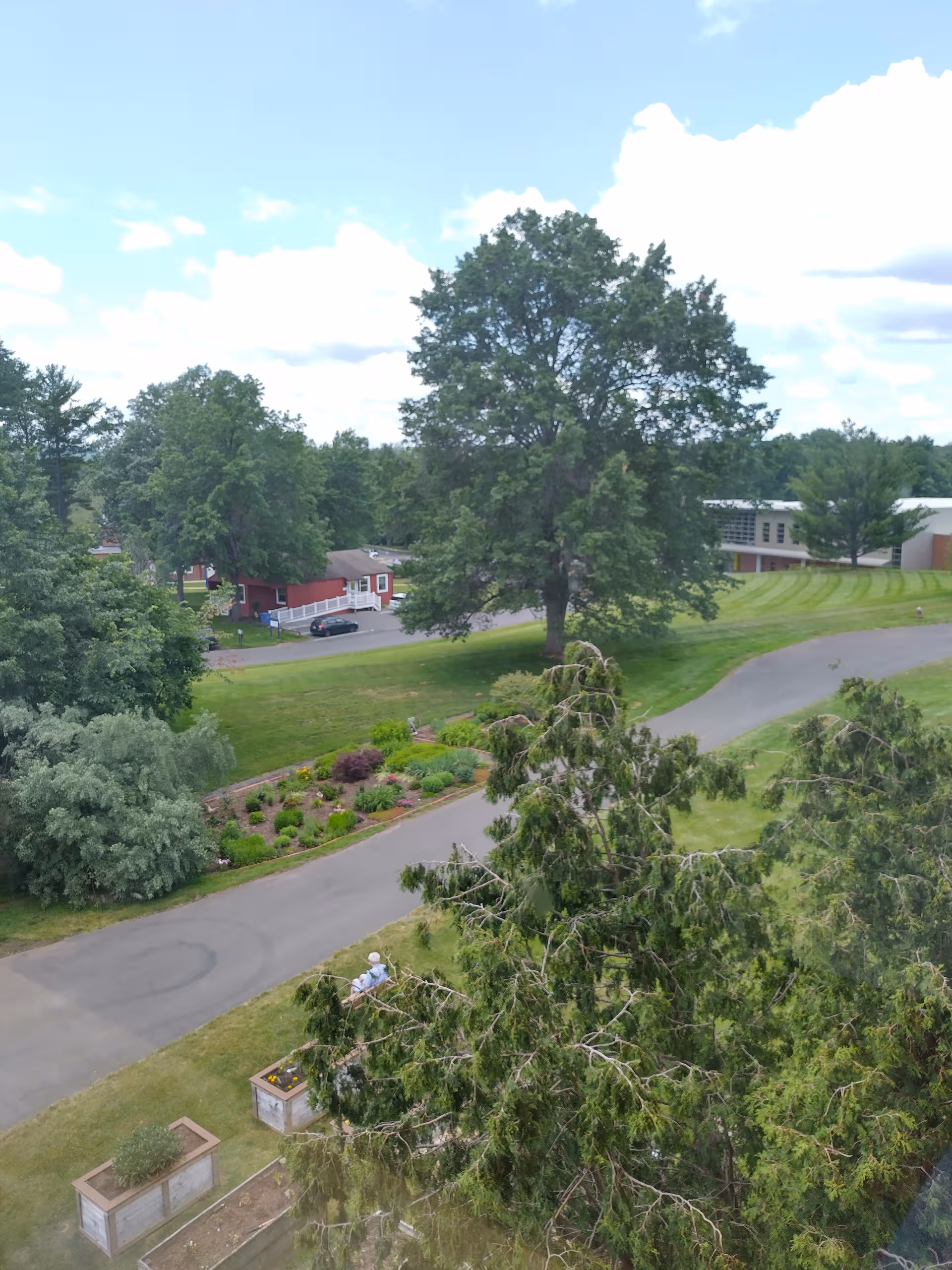 Aerial view of The Mercy Community campus with trees, a road, and landscaped gardens.
