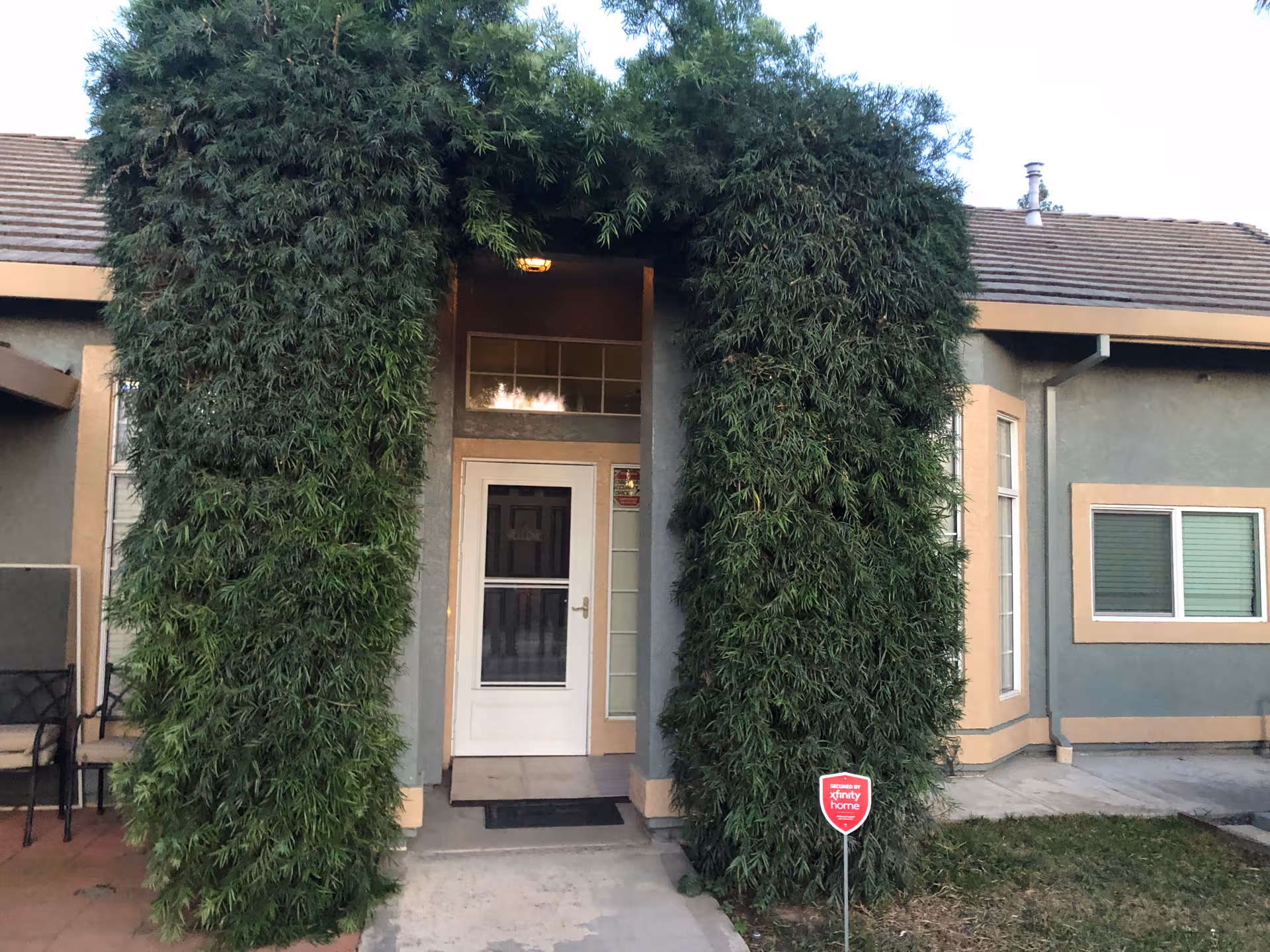 Exterior building entrance framed by tall green vines arching around the doorway.