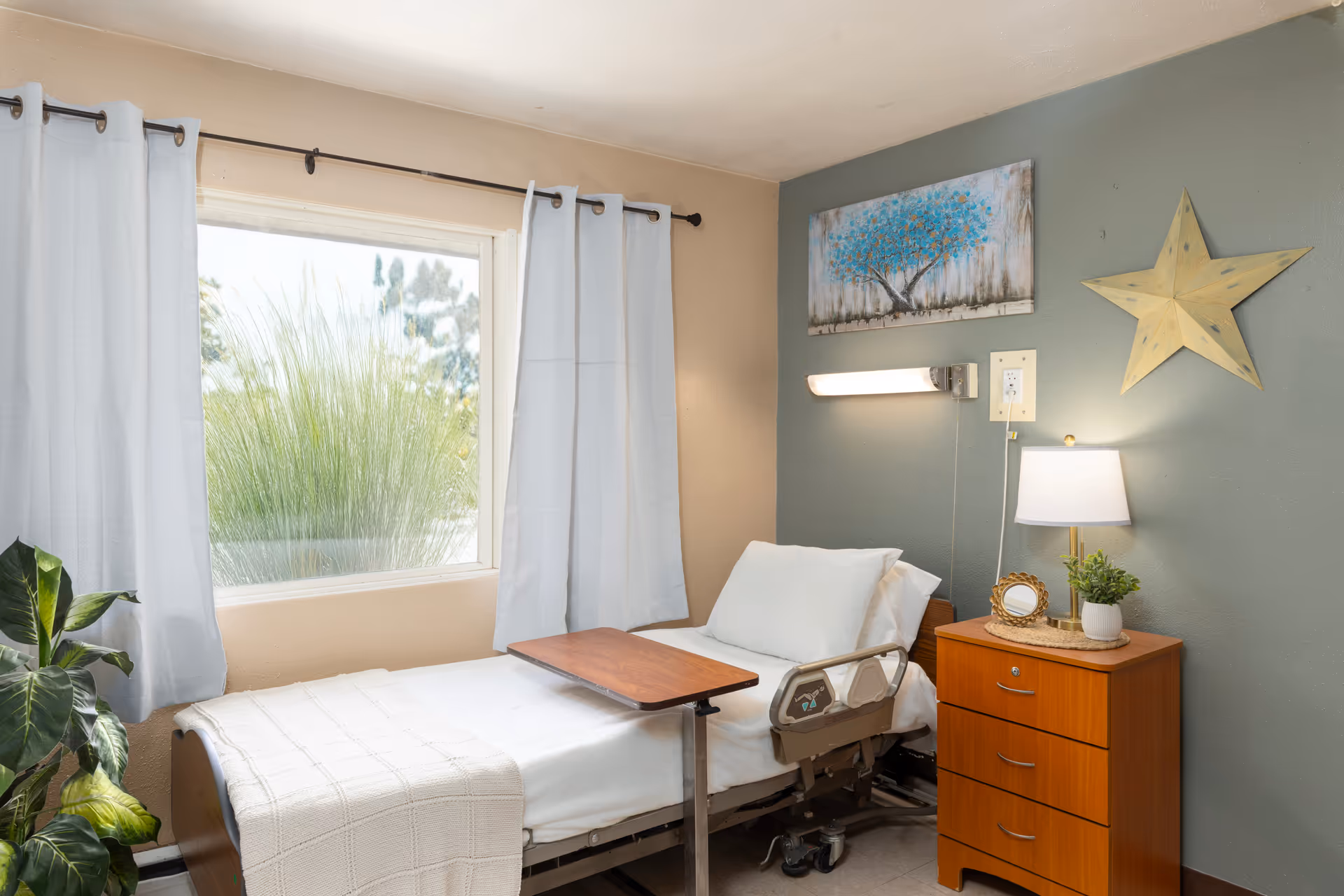 A single hospital-style patient bedroom with bed, dresser, plant, and window with blue curtains.