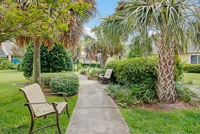 Landscaped courtyard path lined with benches, palm trees, and shrubs.
